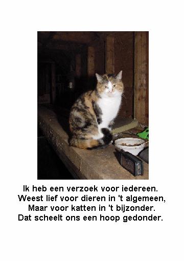 KAT.jpg